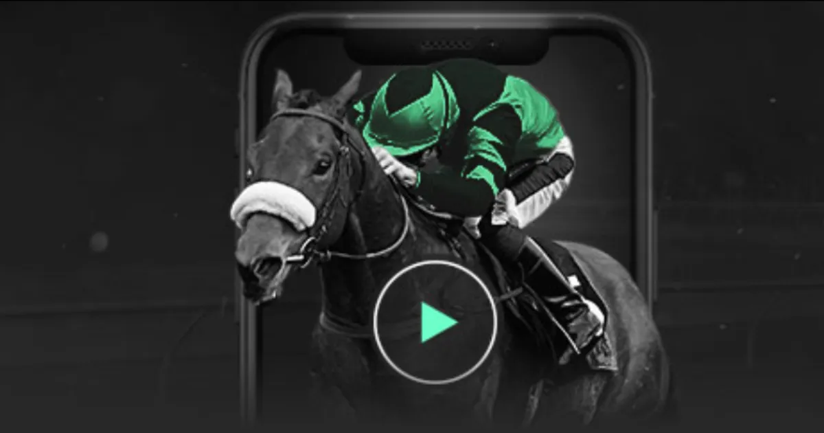 王钰栋华丽,转身,前莱万,bet365,bet365官方网站,bet365平台,bet365登录,bet365下载,bet365首页