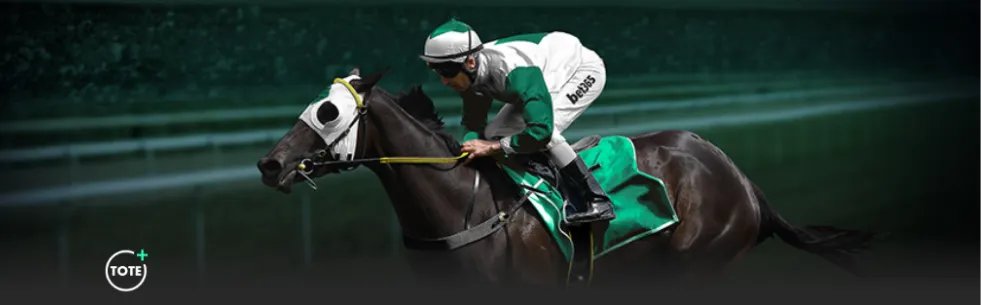 春晚首推视,障听障观众,无障碍直播,bet365,bet365官方网站,bet365平台,bet365登录,bet365下载,bet365首页