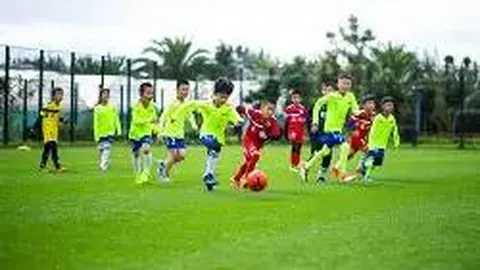 澳超生死战：麦克阿瑟FC能否逆境翻盘？