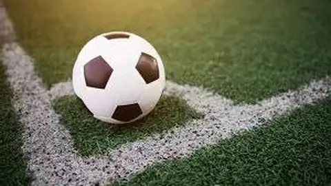 强化党和国家监督体系，提升基层案件监督处理效能。